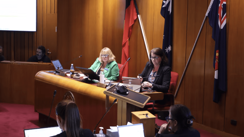 Patricia White announced Chief Executive Officer Robyn Stevens had resigned at Wednesday night's ordinary meeting. (ABC Illawarra: Romy Gilbert)